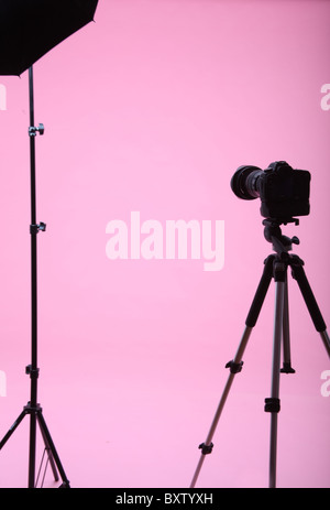 Oeillet rose ou toile de fond dans un studio de photographie avec un appareil photo sur un trépied et de la lumière. Banque D'Images
