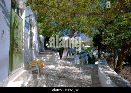 Deux quilles fusionner en face d'une taverne dans le village d'Arnados, sur l'île de Tinos Cyclades grecques. Banque D'Images