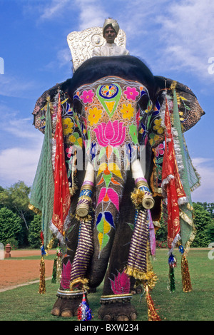 Décoré éléphant, Jaipur, Rajasthan, Inde Banque D'Images