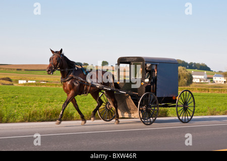 Voiture à cheval est le moyen de transport principal pour les Amish dans le comté de Lancaster en Pennsylvanie Banque D'Images