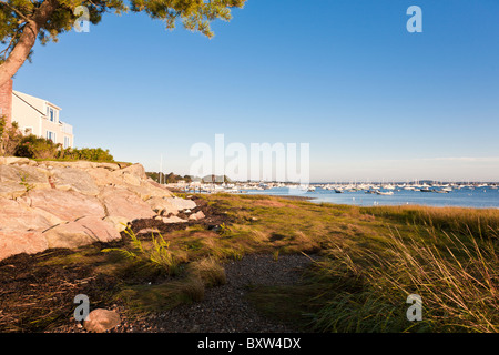 Côte d'herbe à marée basse près de port de Plymouth à Plymouth au Massachusetts Banque D'Images