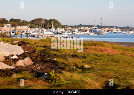 Côte d'herbe à marée basse près de port de Plymouth à Plymouth au Massachusetts Banque D'Images