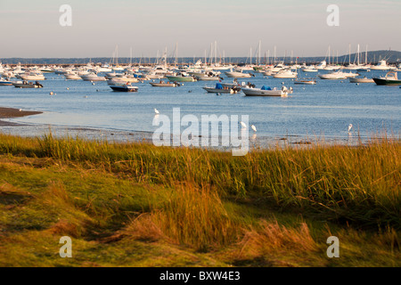 Côte d'herbe à marée basse près de port de Plymouth à Plymouth au Massachusetts Banque D'Images