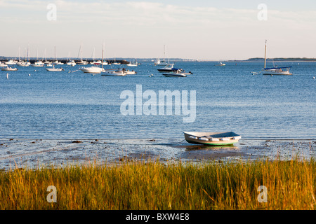 Bateau à rames sur le littoral à marée basse gazonnée près de port de Plymouth à Plymouth au Massachusetts Banque D'Images