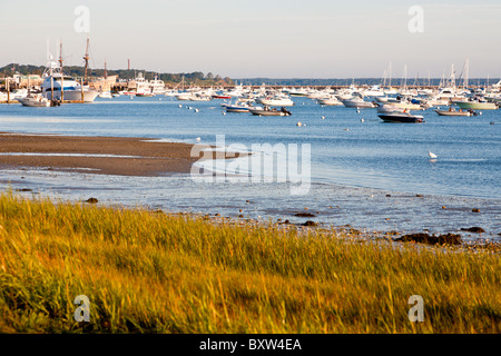 Côte d'herbe à marée basse près de port de Plymouth à Plymouth au Massachusetts Banque D'Images