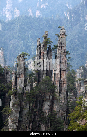 Parc forestier national de Zhangjiajie, Wulingyuan Scenic Area, Chine, province du Hunan Banque D'Images