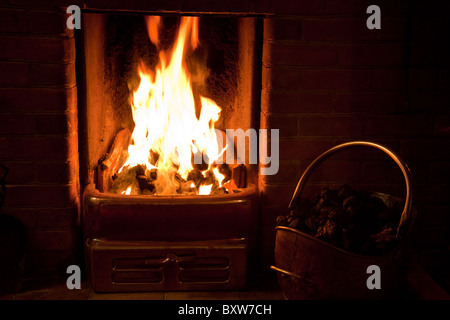 Flammes dansant dans un vrai feu de charbon Banque D'Images
