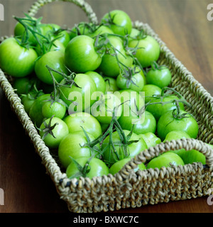 Tomates vertes Banque D'Images