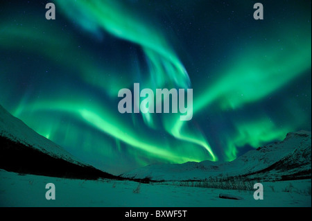 Northern Lights (Aurore boréale) dans le Nord de la Norvège Banque D'Images