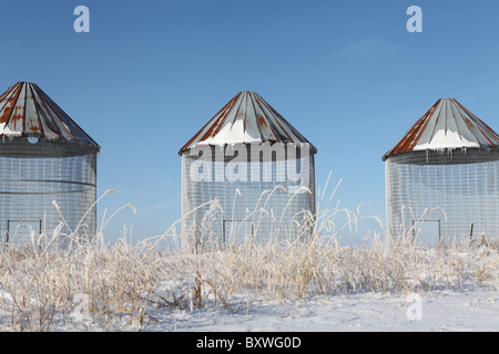 Vieux grain crib bacs en champ neigeux dans l'Iowa. Banque D'Images