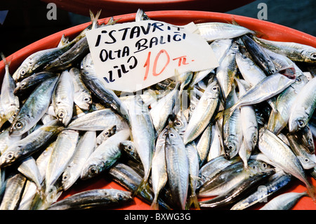 Poissons à vendre Bazar épicé Istanbul | ISTANBUL, Turquie — Le maquereau atlantique frais, ou istavrit, remplit un bassin rouge à un étal de poissons près de la porte Balık Pazarı du Bazar épicé à Eminönü. Le nom de la porte, signifiant Marché aux poissons, préserve un commerce qui a fonctionné aux côtés du commerce d’épices et de produits séchés du bazar depuis l’ouverture du marché dans les années 1660 en tant que partie intégrante du complexe Yeni Cami. Banque D'Images