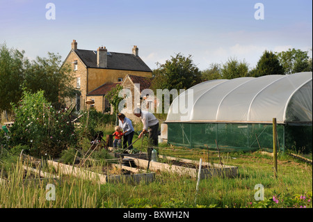 Une famille sur leurs lopins de terre avec un polytunnel fleurs ferme commune UK Banque D'Images