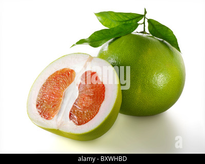 Agrumes Pomelo frais Banque D'Images