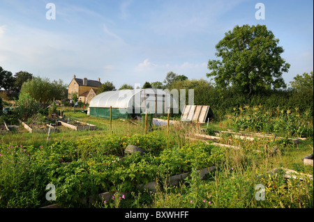 Une famille sur leurs lopins de terre avec un polytunnel UK Banque D'Images