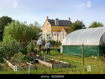 Une famille sur leurs lopins de terre avec un polytunnel ferme commune Fleurs, UK Banque D'Images