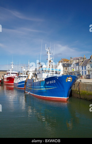 Des bateaux de pêche, port de Macduff, et Crook O Ness Street, Macduff, Aberdeenshire, Ecosse, Royaume-Uni Banque D'Images