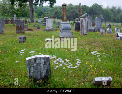 USA, New York, Portland, Marguerites fleur au-dessus de tombes de la fin du xixe siècle dans le centre de cimetière sur matin de printemps Banque D'Images