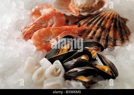 Des fruits de mer - crevettes, moules Sscallops - photos Banque D'Images