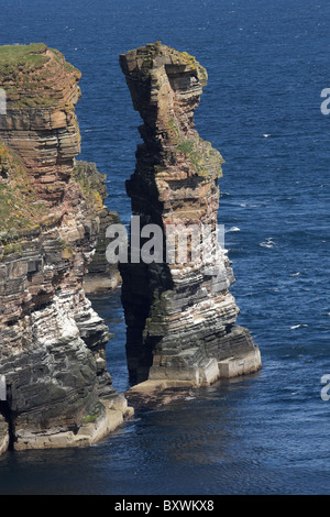 Le genou, Duncansby Head, John O'Groats, Caithness, Highlands, Ecosse, Royaume-Uni Banque D'Images