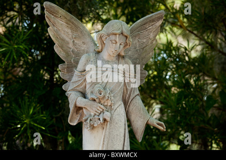 USA, Georgia, Savannah, cimetière statue d'ange à Shady Grove à l'intérieur du cimetière Bonaventure sur matin d'été Banque D'Images