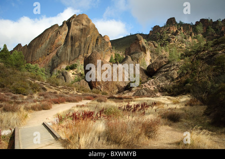 Image paysage de la piste à Pinnacles National Park Banque D'Images