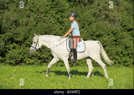 Jeune cavalier au dos d'un poney allemand de marcher avec de longues rênes Banque D'Images