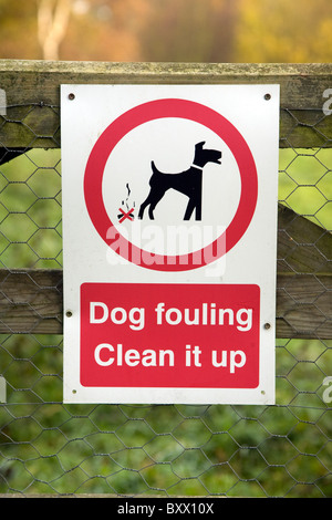 Inscrivez-dog fouling nettoyer Banque D'Images