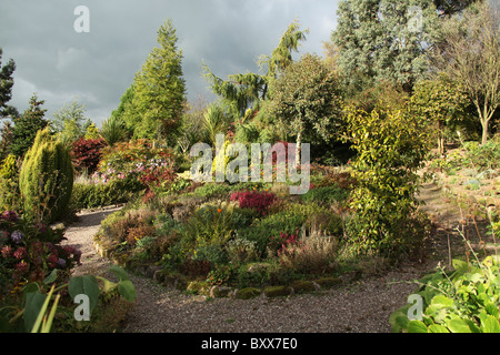 Jardins de Mount Pleasant, en Angleterre. Compte tenu de l'automne de fleurs et des bordures à Mount Pleasant Gardens. Banque D'Images