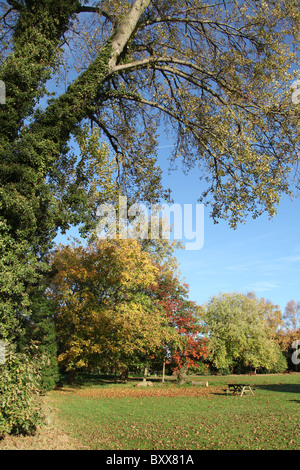 Ness Botanic Gardens, en Angleterre. Vue automnale de Ness Botanic Gardens. Banque D'Images