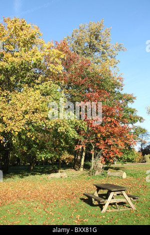 Ness Botanic Gardens, en Angleterre. Vue automnale de Ness Botanic Gardens. Banque D'Images