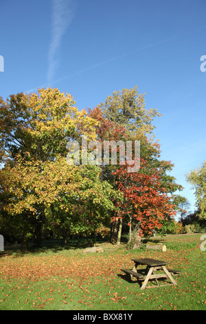 Ness Botanic Gardens, en Angleterre. Vue automnale de Ness Botanic Gardens. Banque D'Images