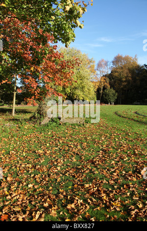 Ness Botanic Gardens, en Angleterre. Vue automnale de Ness Botanic Gardens. Banque D'Images