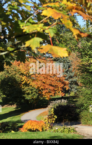 Ness Botanic Gardens, en Angleterre. Vue automnale de Ness Botanic Gardens. Banque D'Images