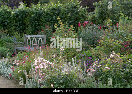 Shrub rose garden rosemoor rhs devon Banque D'Images