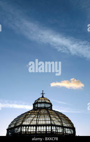 Le palm house à Sefton Park, Liverpool. Banque D'Images