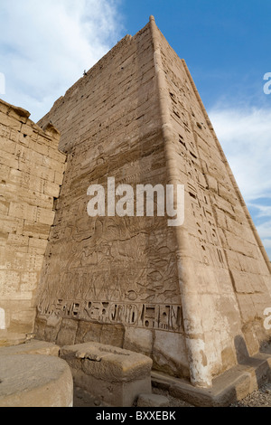 Reliefs montrant la chasse dans les marais à Médinet Habou, temple funéraire de Ramsès III, rive ouest du Nil, Louxor, Egypte Banque D'Images