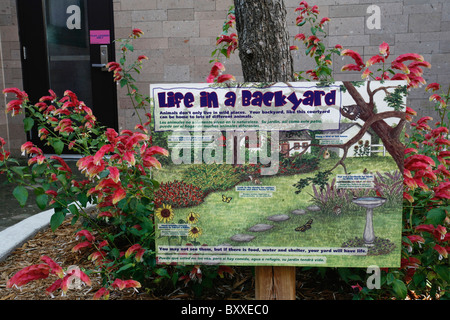 L'Kronkosky Nature Petit spot, le Zoo de San Antonio, TX Banque D'Images