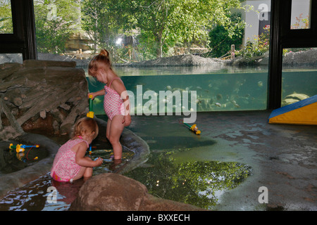 L'Kronkosky Nature Petit spot, le Zoo de San Antonio, TX Banque D'Images