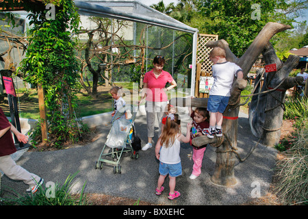 L'Kronkosky Nature Petit spot, le Zoo de San Antonio, TX Banque D'Images