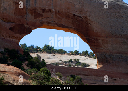 Wilson Arch est une arche en grès naturel le long de la route 191 près de Moab, Utah, USA. Banque D'Images