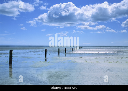 Tirella mention Beach et dune zone de conservation, la baie de Dundrum. Banque D'Images