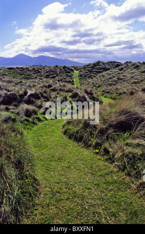 Promenade côtière, plages et des dunes Tirella mention d'aire de conservation, la baie de Dundrum. Banque D'Images