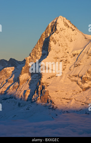 Le soleil de fin de soirée sur l'Eiger, Suisse Banque D'Images