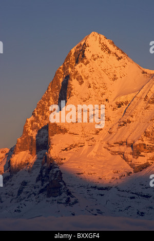 Le soleil de fin de soirée sur l'Eiger, Suisse Banque D'Images