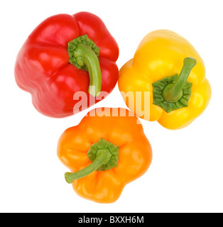 Rouge Jaune et orange POIVRON Capsicum Banque D'Images