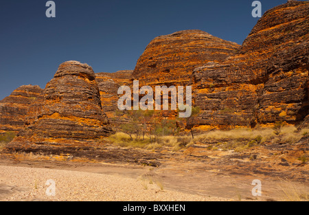 Des formations de roche conique au Bungle Bungles, le Parc National de Purnululu, Kimberley, Australie occidentale Banque D'Images