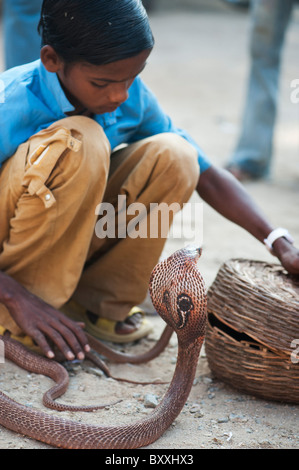 Caste inférieure pauvre garçon indien mendier avec Cobra à lunettes sur une rue de l'Inde. L'Andhra Pradesh, Inde Banque D'Images