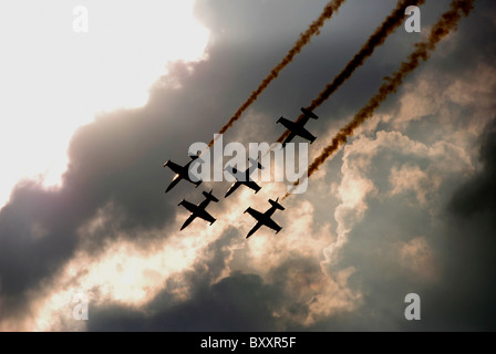 Le Breitling Jet Team français de faire un passage sur le Danube sur la journée, battant l'Aero L-39 Albatros Banque D'Images