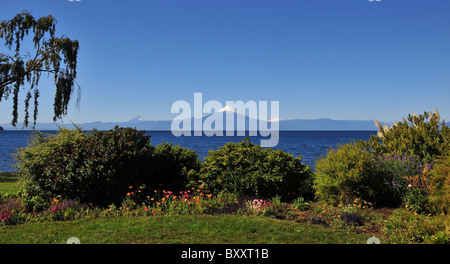 Ciel bleu, vue sur le lac Llanquihue vers le cône du volcan Osorno, d'un jardin au bord du lac à Frutillar, Chili Banque D'Images