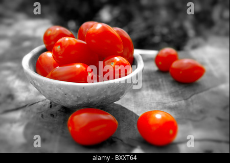 Tomates fraîches cueillies Banque D'Images